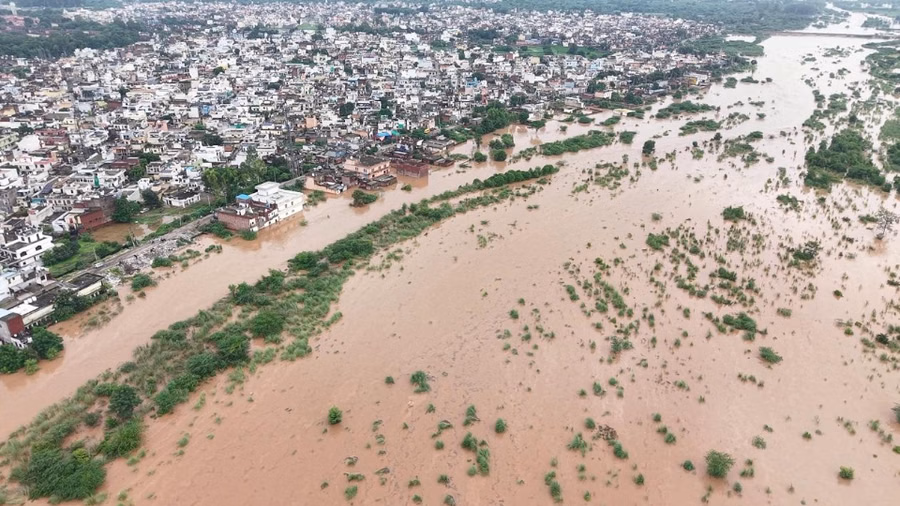 हरियाणा में भारी बारिश का कहर: अंबाला-भूना में घर जलमग्न, लाडवा तटबंध टूटा, ड्रेनों में दरार