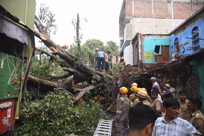कैसरबाग मछली मंडी में पीपल का पेड़ गिरा, एक की मौत, चार घायल