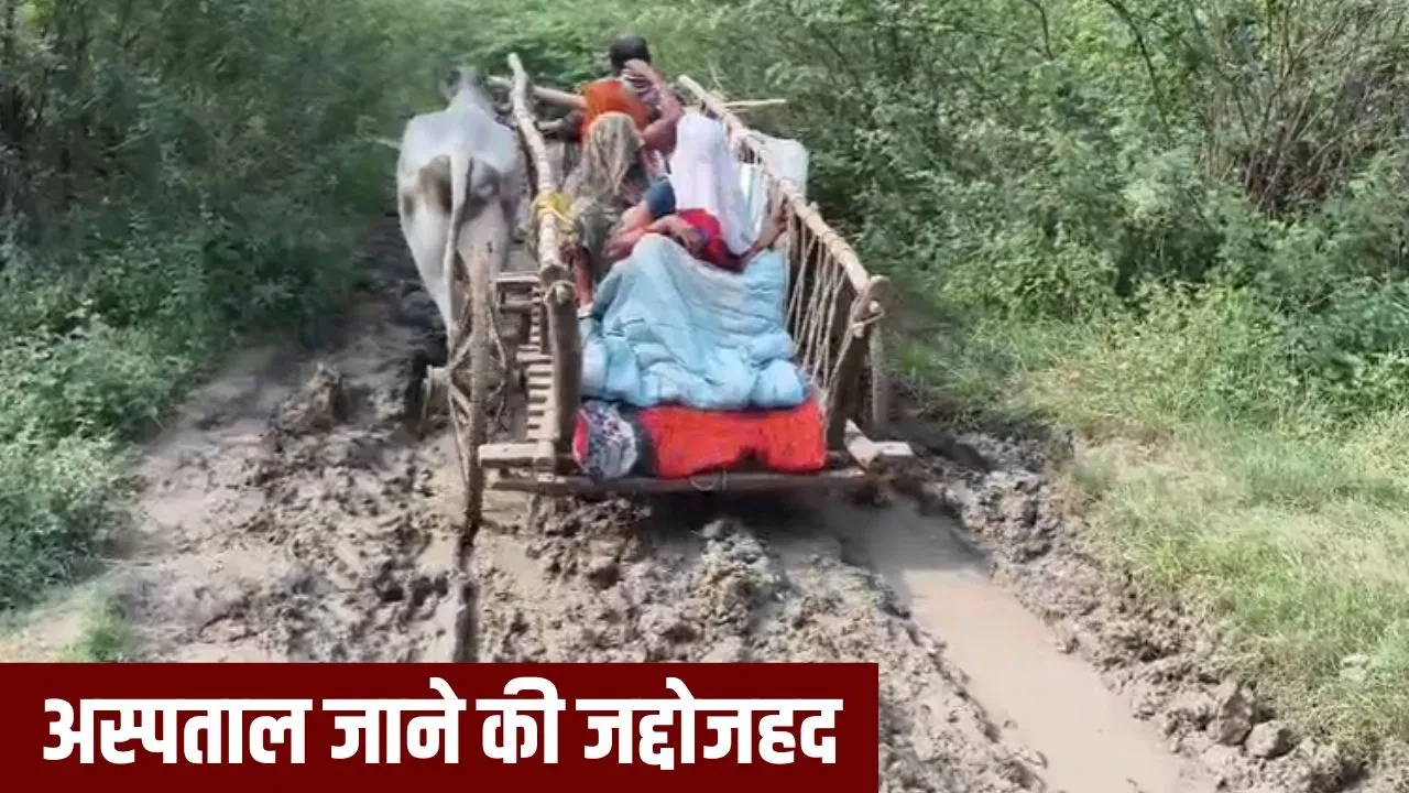 हमीरपुर में विकास के दावों की खुली पोल: सड़क न होने से प्रसव पीड़िता को बैलगाड़ी में पहुंचाया अस्पताल