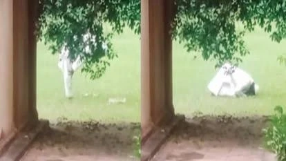 ताजमहल में रोक के बावजूद पर्यटक ने पढ़ी नमाज, वीडियो वायरल