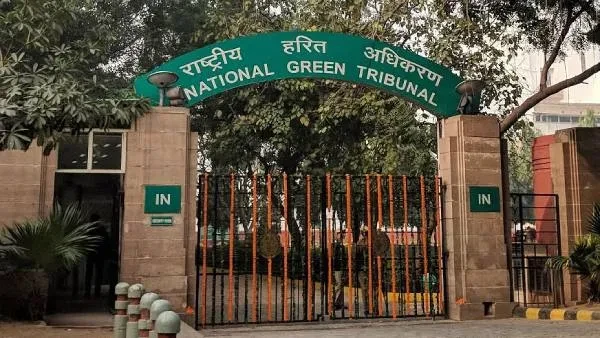 एनजीटी का बड़ा फैसला: देशभर के स्कूलों से हटाई जाएंगी टीन की छतें