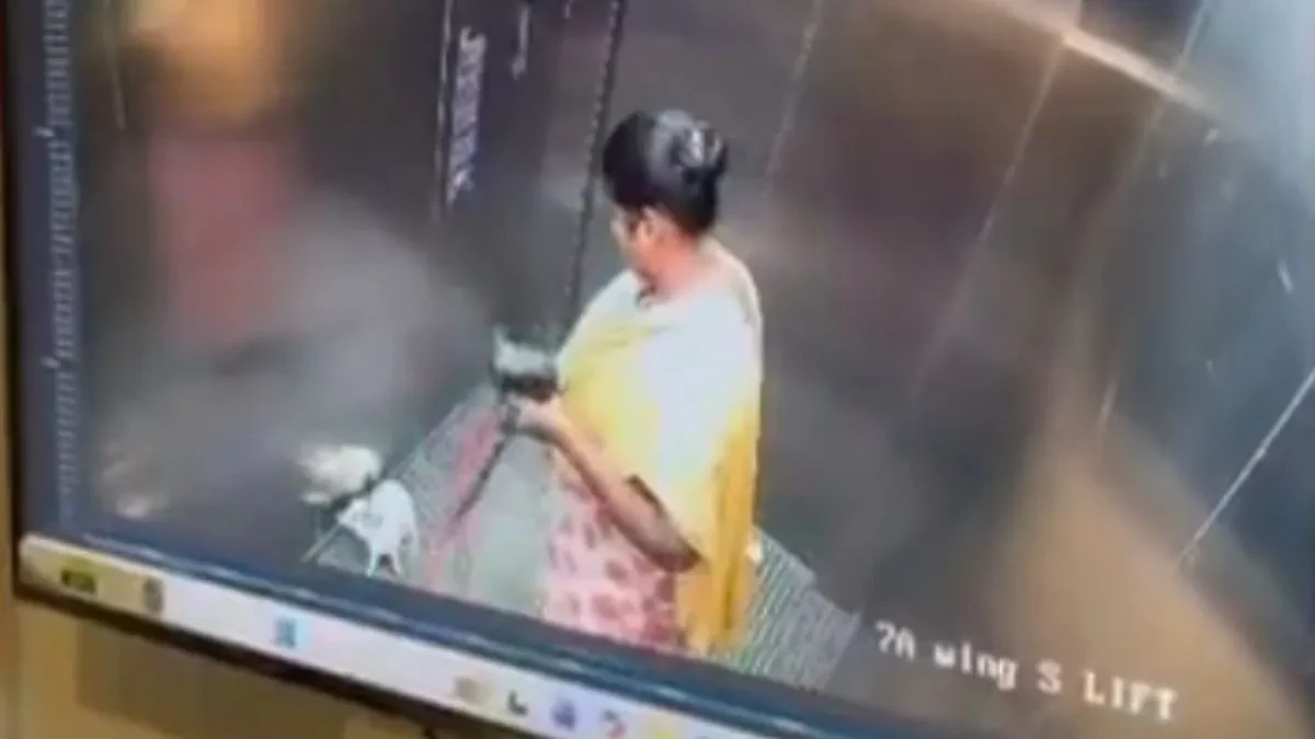 नौकरानी की हैवानियत! मालिक के पालतू कुत्ते को लिफ्ट में पटककर मार डाला