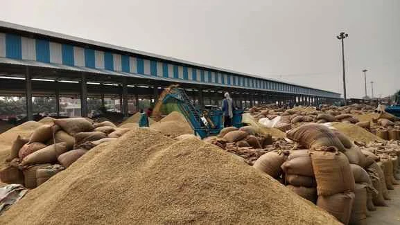 संकट के बावजूद बढ़ा अनाज उत्पादन, किसानों ने रिकॉर्ड बनाने में किया योगदान
