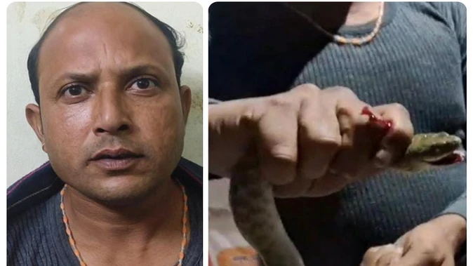 सांप काटने के बाद भी नहीं घबराया युवक, अस्पताल तक खुद ले गया जिंदा सांप