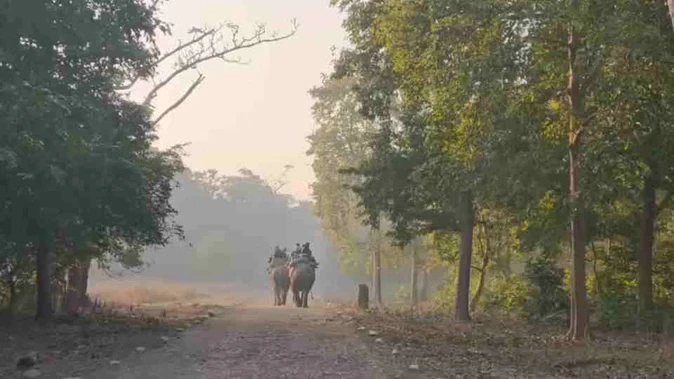 राजाजी टाइगर रिजर्व में शुरू हुई हाथी सफारी, राधा और रंगीली करेंगे पर्यटन का नेतृत्व