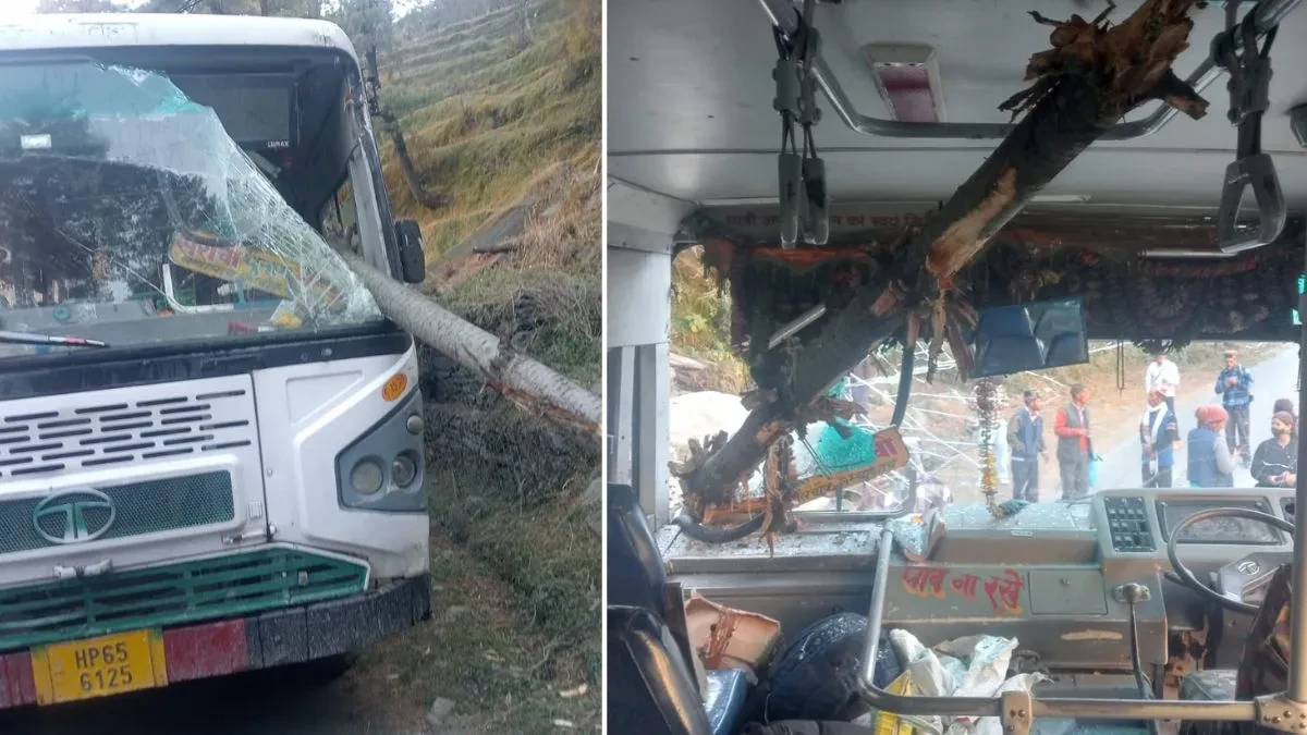 मंडी में बड़ा हादसा टला: चलती एचआरटीसी बस पर गिरा पेड़, 40 यात्रियों की जान बाल-बाल बची