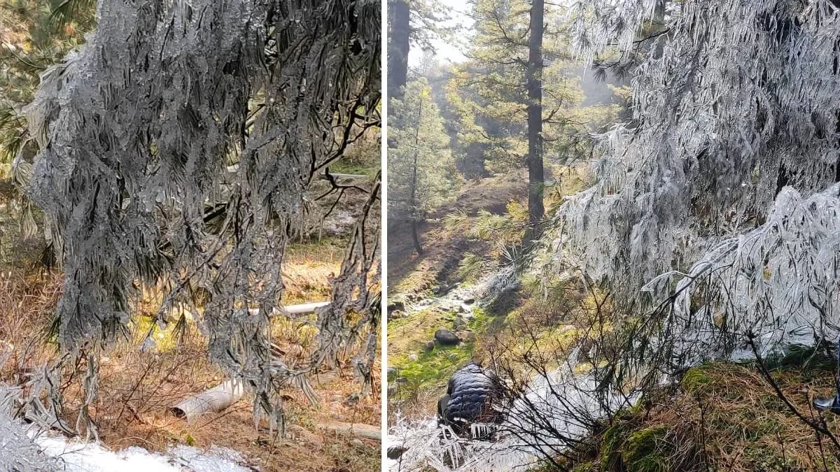 कश्मीर में ठंड का कहर, कई जिलों में तापमान -6°C से नीचे