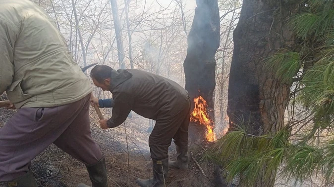 जम्मू कश्मीर: गुरेज घाटी के जंगलों में लगी आग, वन विभाग और सेना जुटी बचाव में