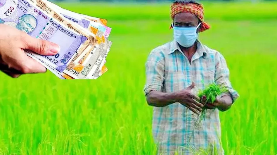 मखाना किसानों को बड़ी सौगात, 476 करोड़ की केंद्रीय योजना को मिली हरी झंडी