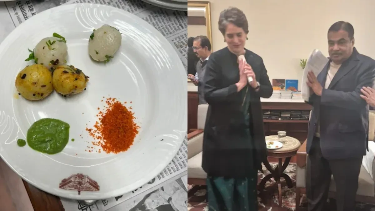 'जब राहुल का काम किया तो आपका....' प्रियंका गांधी से मुलाकात में बोले नितिन गडकरी