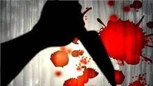 वसंत विहार में युवक की चाकू से हत्या, तीन नाबालिग हिरासत में