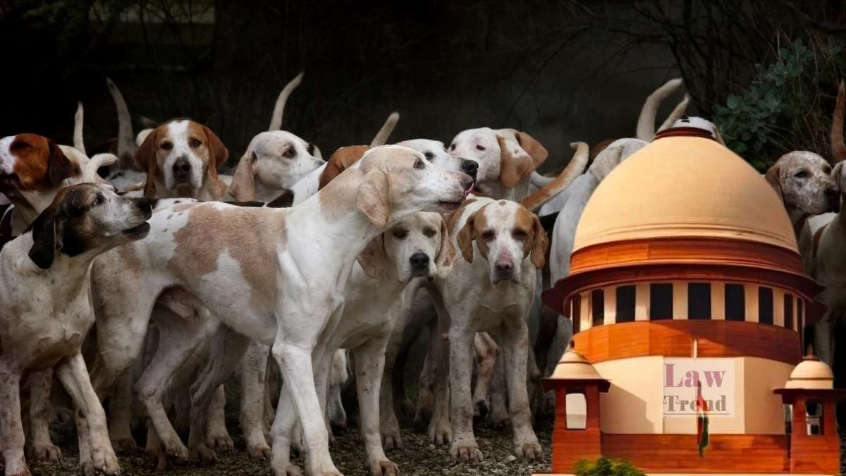 कुत्तों के काटने पर राज्य सरकार देगी मुआवजा, सुप्रीम कोर्ट ने दिया निर्देश