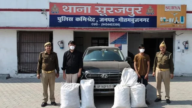 ग्रेटर नोएडा: 80 किलो गांजा के साथ दो तस्कर गिरफ्तार