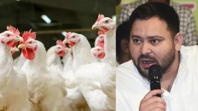 होली से पहले बर्ड फ्लू की चपेट में चिकन, तेजस्वी यादव के घर को किया सैनिटाइज