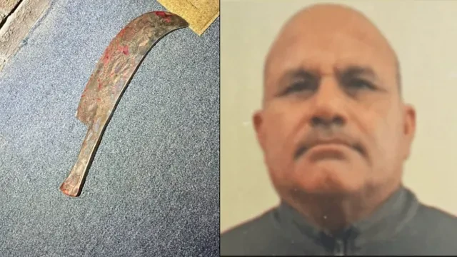 अमेरिका में परिवारिक हिंसा: पिता ने पत्नी और बेटी की हत्या, दामाद घायल