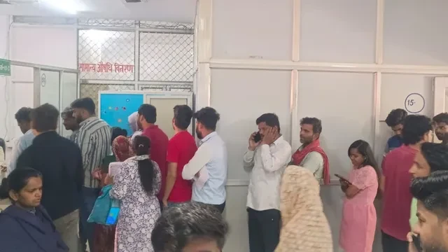 गाजियाबाद में बिल्लियों ने मचाई दहशत, एक महीने में 992 लोग घायल