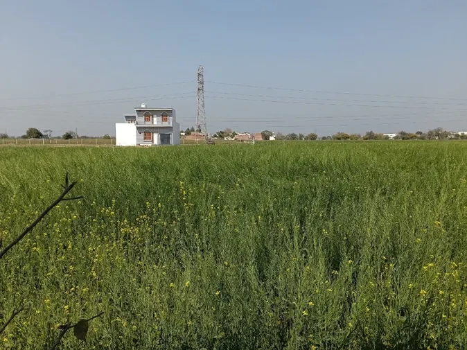 मथुरा: किशोरी के साथ खेत में सामूहिक दुष्कर्म, दो युवकों पर एफआईआर