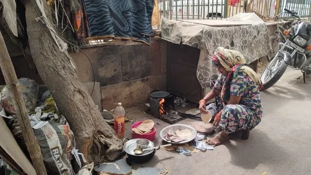 दिल्ली-एनसीआर में अब लकड़ी जलाकर भी बना सकेंगे खाना, सरकार से मिली परमिशन