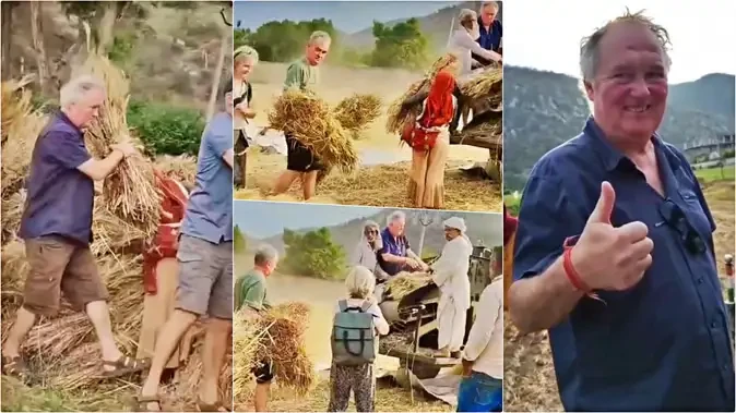 फ्रांस से आए पर्यटकों ने खेत में काटे गेहूं, अलवर में किसान की मदद का अनोखा वीडियो