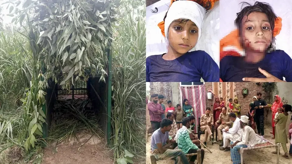 मुरादाबाद में तेंदुए के हमले से आठ साल की बच्ची गंभीर रूप से घायल