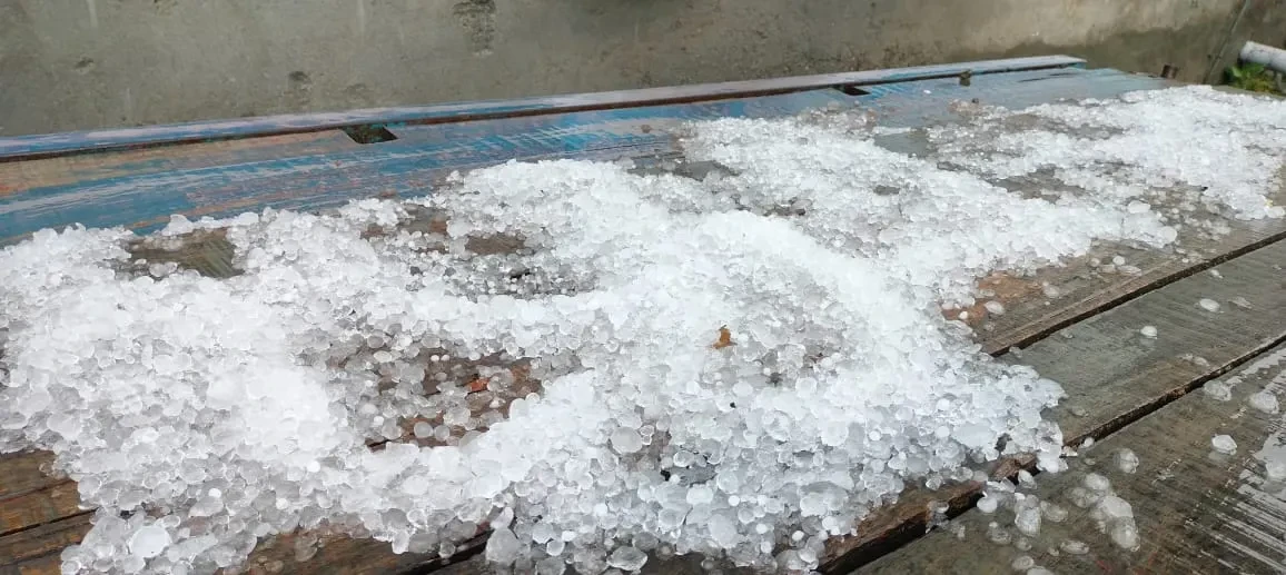 मेरठ में अचानक मौसम का मिजाज बदला, ओलावृष्टि से फसलों को भारी नुकसान