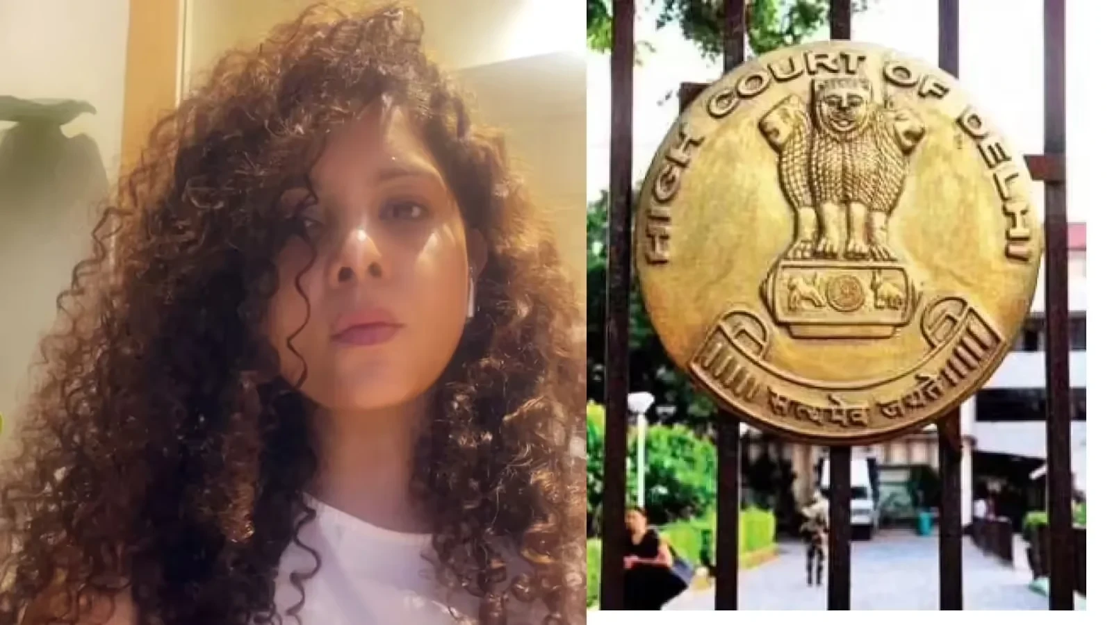राणा अय्यूब के ट्वीट मामले में अदालत ने सभी पक्षों से 10 अप्रैल तक जवाब मांगा