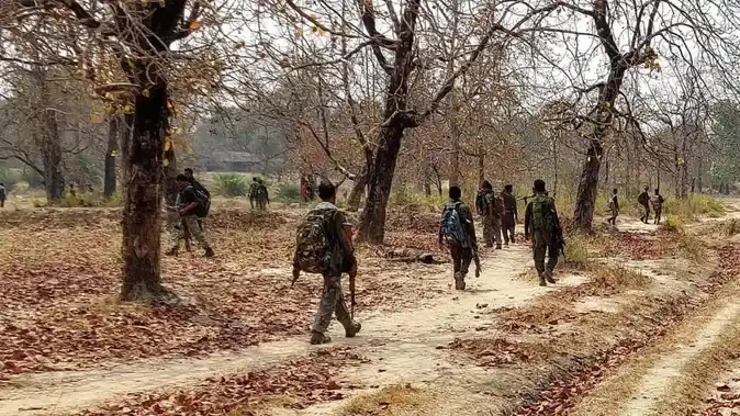 छत्तीसगढ़-ओडिशा सीमा पर बड़ी कार्रवाई, जंगल से भारी मात्रा में विस्फोटक बरामद