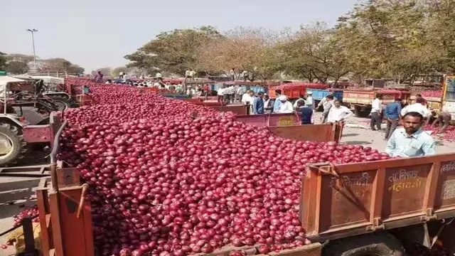खाड़ी देशों में तनाव का प्याज किसानों पर सीधा असर, निर्यात में गिरावट