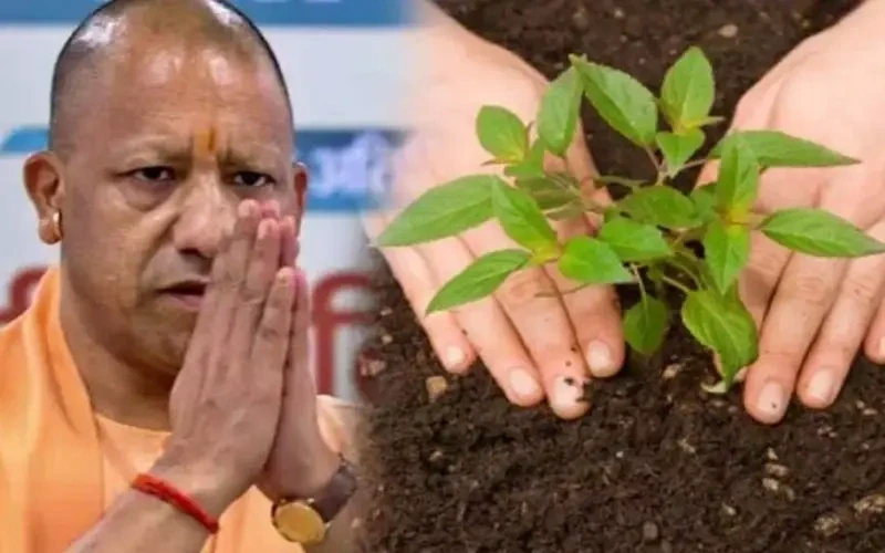 योगी सरकार का हरित मिशन: एक दिन में 35 करोड़ पौधे लगाने का लक्ष्य