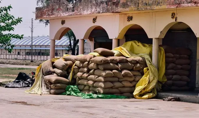 मौसम का असर: गेहूं खरीद में आई गिरावट, जल्द रफ्तार बढ़ने की उम्मीद