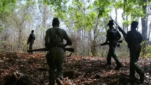 झारखंड: सोनुवा के पोड़ाहाट जंगल में नक्सलियों से मुठभेड़, फायरिंग से सहमे ग्रामीण