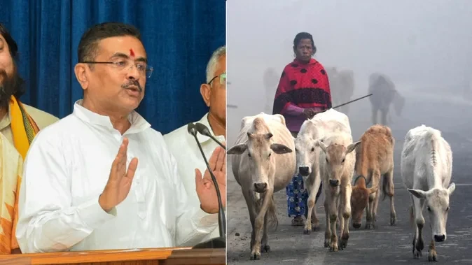 बंगाल सरकार का बड़ा फैसला: बूचड़खानों को लेकर नए सख्त नियम लागू