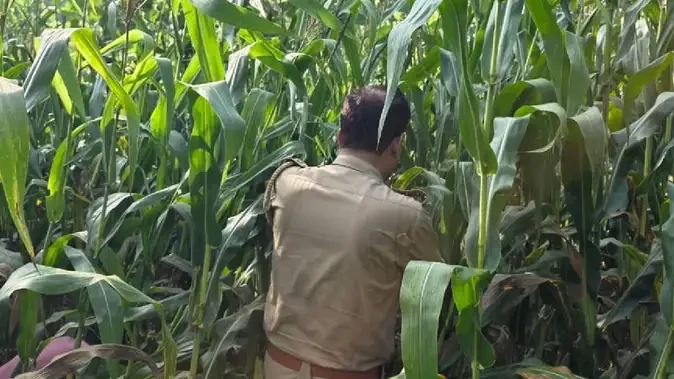 बहराइच में लापता छात्रा का शव मिलने से सनसनी, इलाके में तनाव
