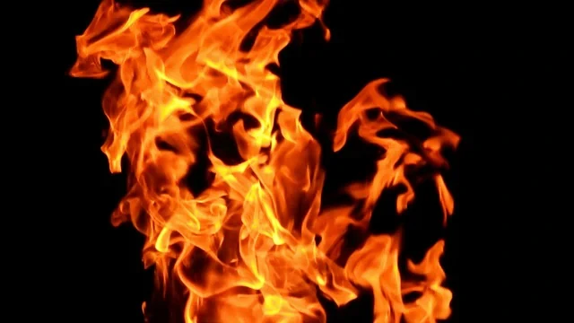 दिल्ली के मानसरोवर पार्क में चार मंजिला इमारत में लगी आग, 9 लोग सुरक्षित निकाले गए बाहर