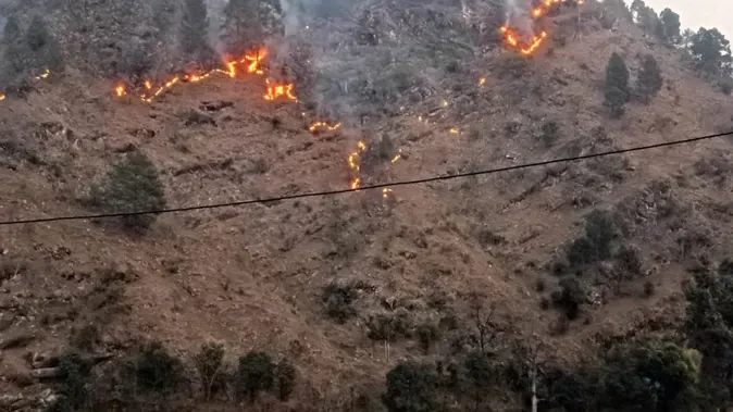 टिहरी में जंगल की आग बनी जानलेवा, महिला की दर्दनाक मौत