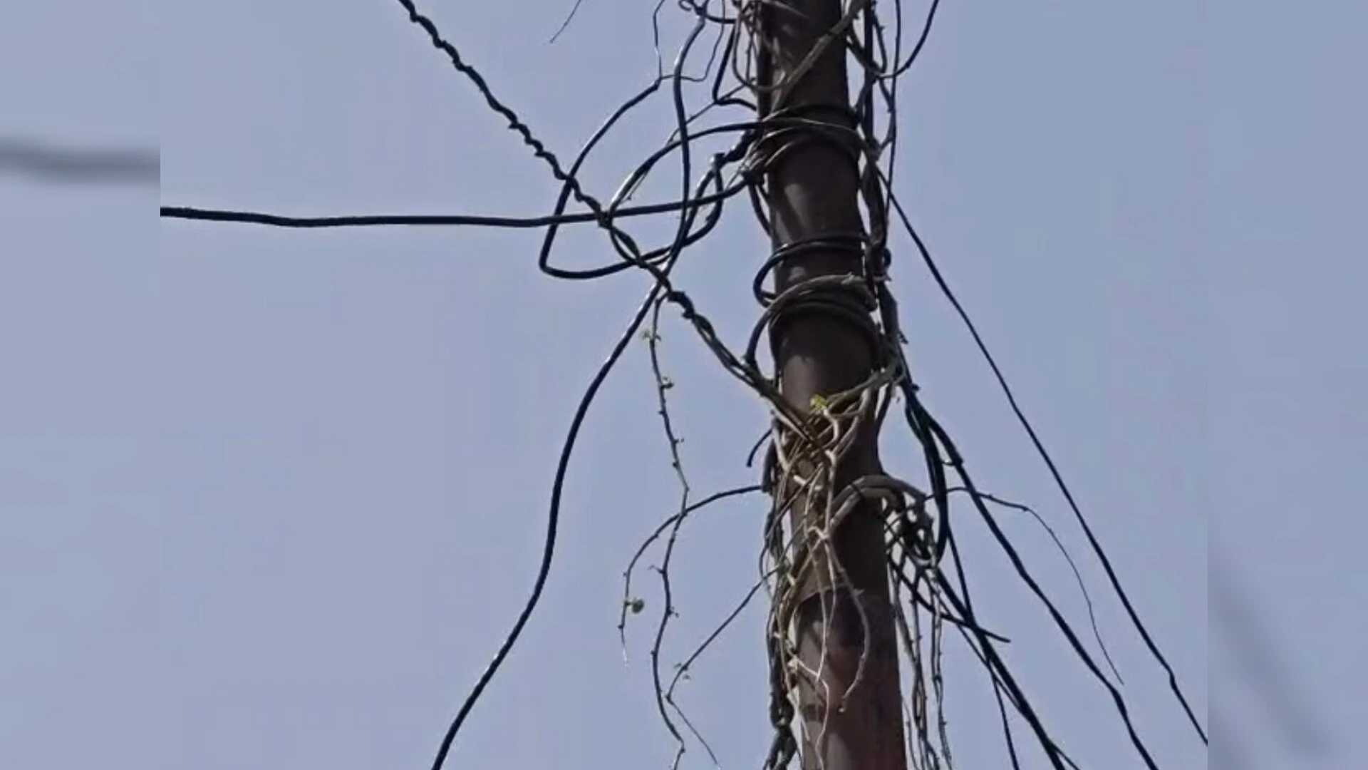 मुजफ्फरनगर: कब्जे के घर में बिजली चोरी का मामला, मालिक ने कहा- मैं जिम्मेदार नहीं