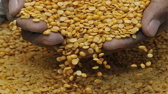 बिहार में बिगड़ा किचन का बजट, दाल 5 और चावल 10 रुपये प्रति किलो तक महंगा