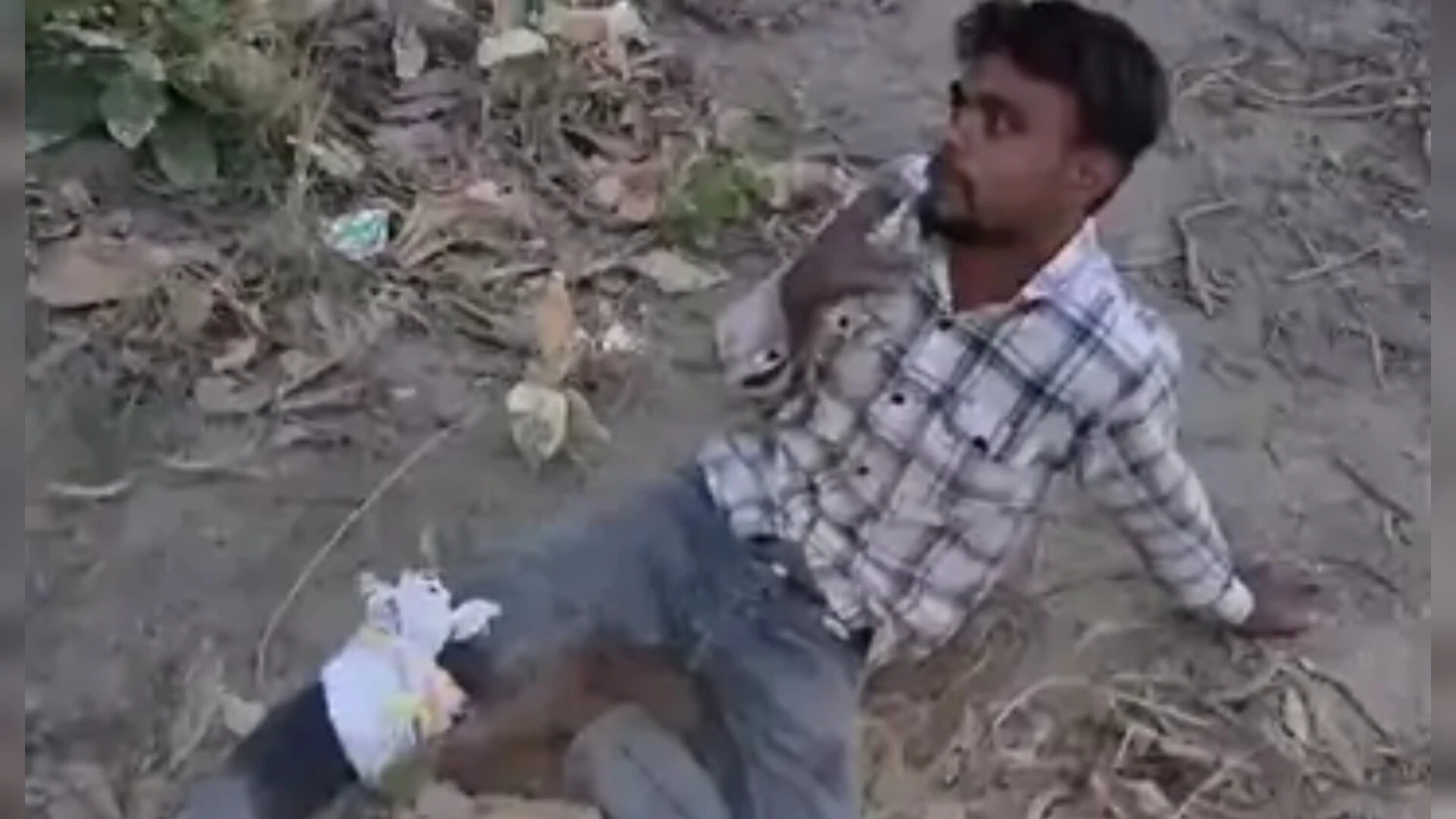 पैर में गोली लगी, फिर भी ‘गोल्ड फ्लैग’ मांगता रहा हिस्ट्रीशीटर ईनाम, वीडियो वायरल