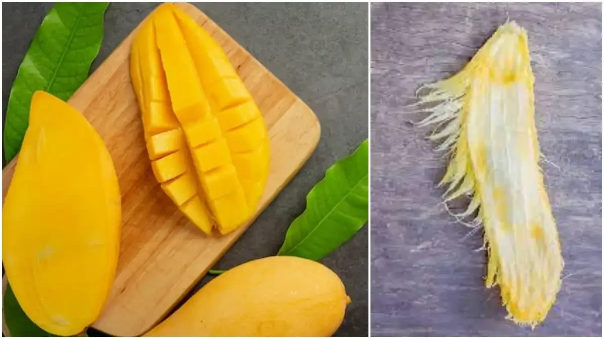 आम की गुठली भी है काम की चीज, रिसर्च में सामने आए चौंकाने वाले फायदे