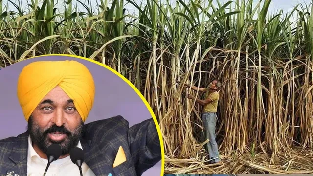 किसानों के लिए बड़ी खुशखबरी! पंजाब सरकार ने बढ़ाई KCC ऋण सीमा