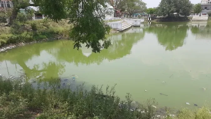 तालाब में नहाते समय दर्दनाक हादसा, तीन मासूम बच्चों की डूबने से मौत