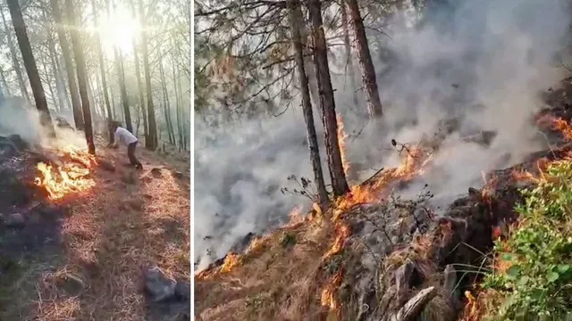 राजौरी के जंगलों में आग का तांडव, रिहायशी इलाकों तक पहुंची लपटें
