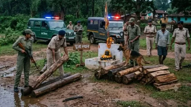 छत्तीसगढ़-ओडिशा बॉर्डर पर सागौन तस्करी का भंडाफोड़, एक गिरफ्तार