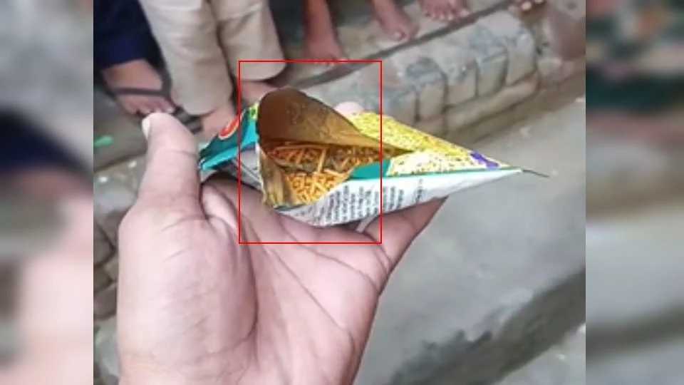मेरठ: 5 रुपये के आलू भुजिया पैकेट में मिली मरी छिपकली, जांच की मांग