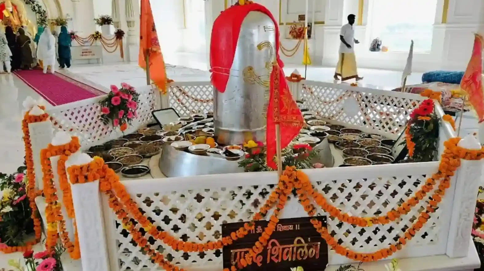 हरिद्वार: दुनिया के सबसे बड़े पारद शिवलिंग की प्राण प्रतिष्ठा संपन्न, 10 साल में हुआ तैयार