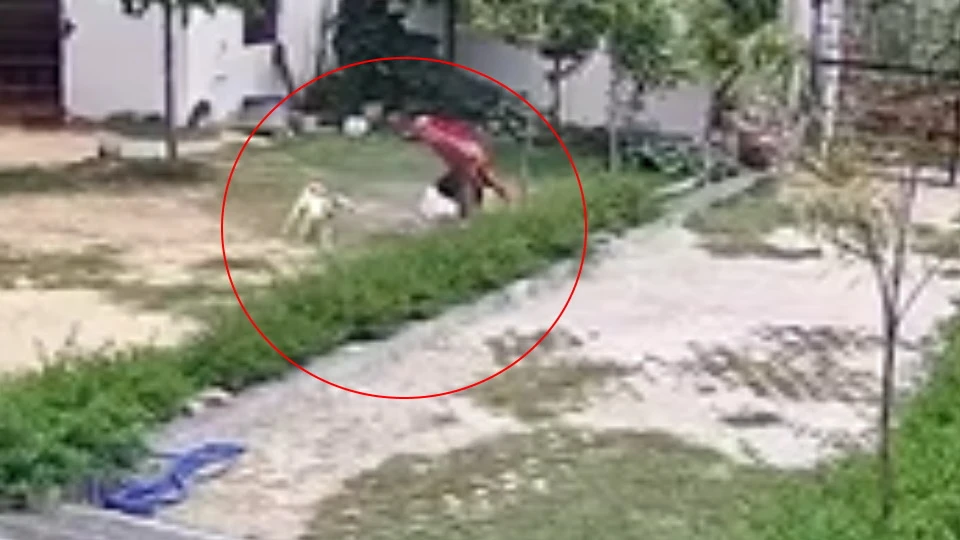 बागपत: तीन लाख रुपये मांगने गए कारोबारी पर पालतू कुत्ते से कराया हमला, वीडियो वायरल