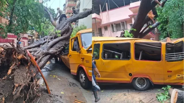 मुंबई में बड़ा हादसा: स्कूल बस पर पेड़ गिरा, एक बच्चे की मौत; 10 बच्चे घायल
