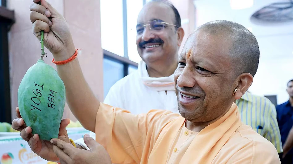 लखनऊ आम महोत्सव का शुभारंभ, आधा किलो का आम देख मुस्कुराए सीएम योगी