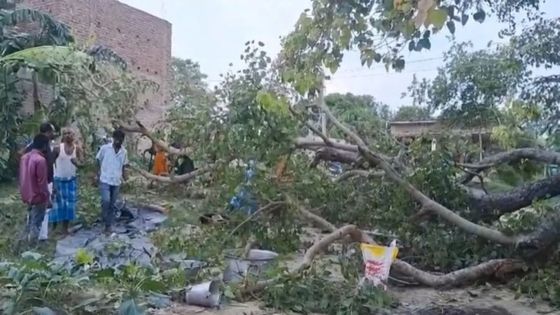 मुजफ्फरपुर में पूजा के दौरान बड़ा हादसा, पेड़ गिरने से दो बच्चों की मौत; कई घायल