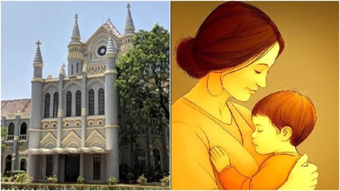 52 वर्षीय महिला को IVF से मां बनने की अनुमति, हाईकोर्ट बोला- उम्र नहीं बनेगी बाधा